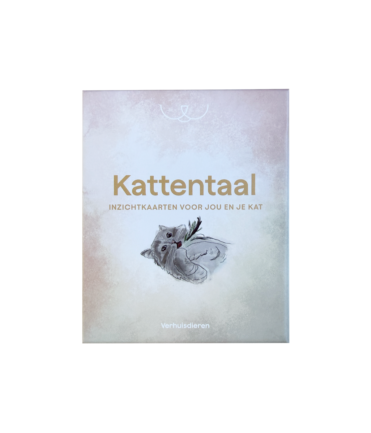 Inzichtkaarten - Kattentaal