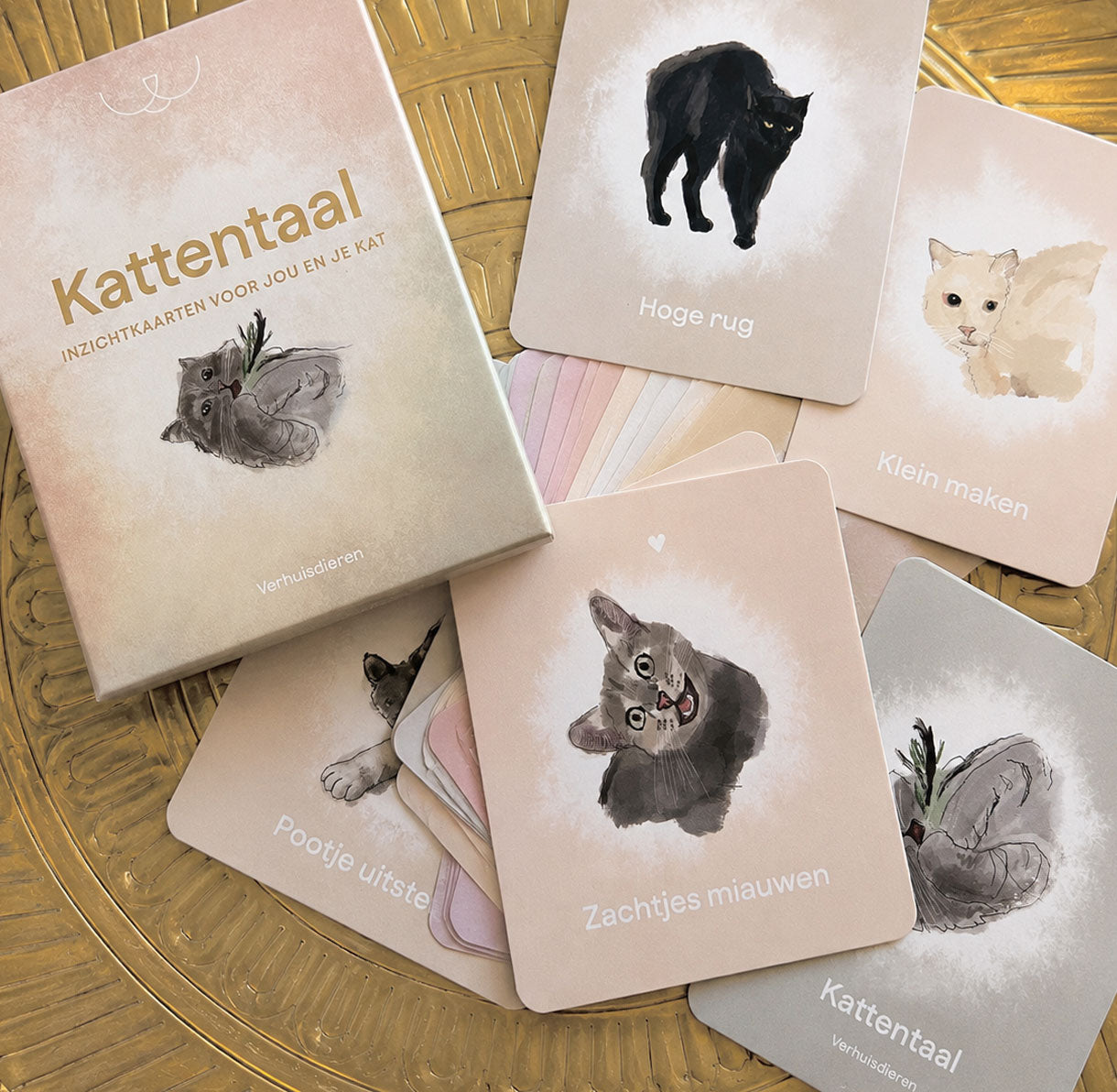 Inzichtkaarten - Kattentaal