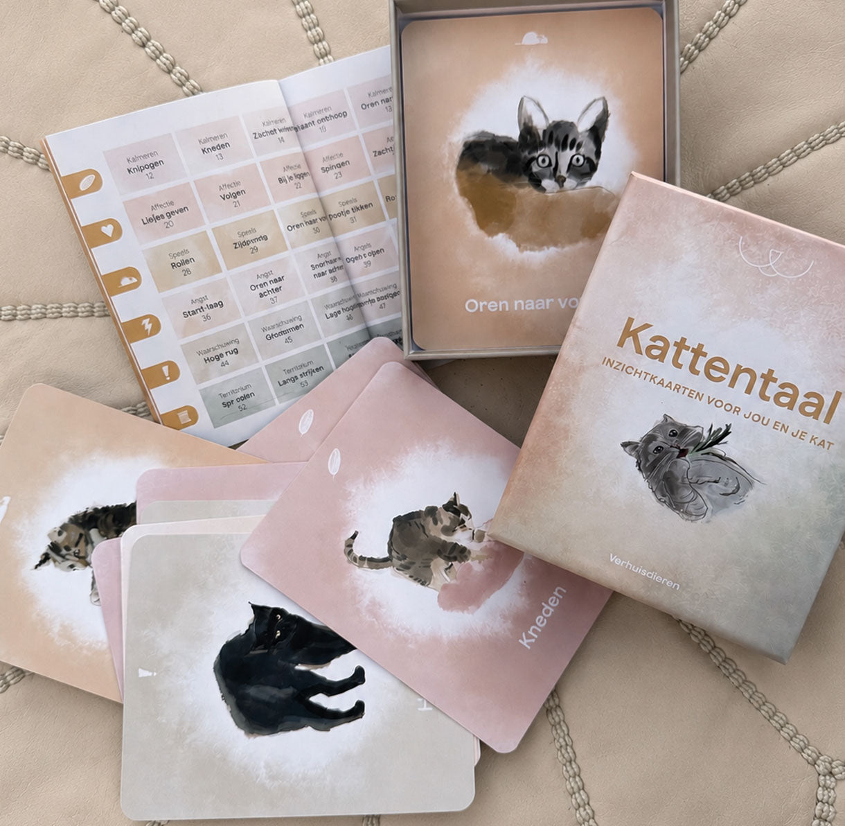 Inzichtkaarten - Kattentaal