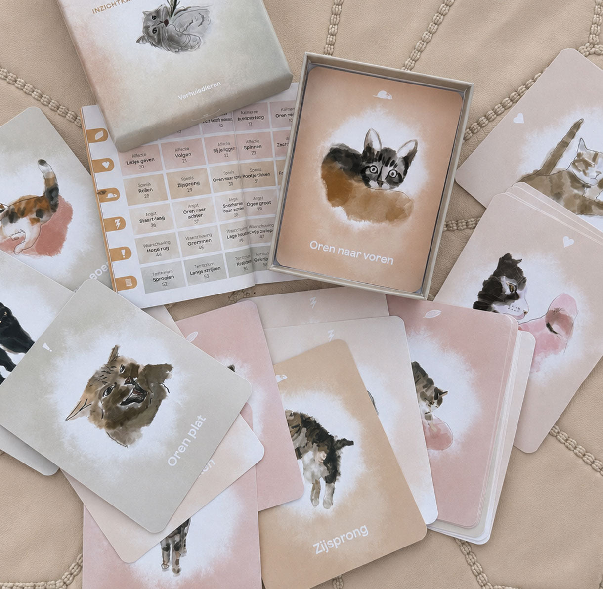 Inzichtkaarten - Kattentaal