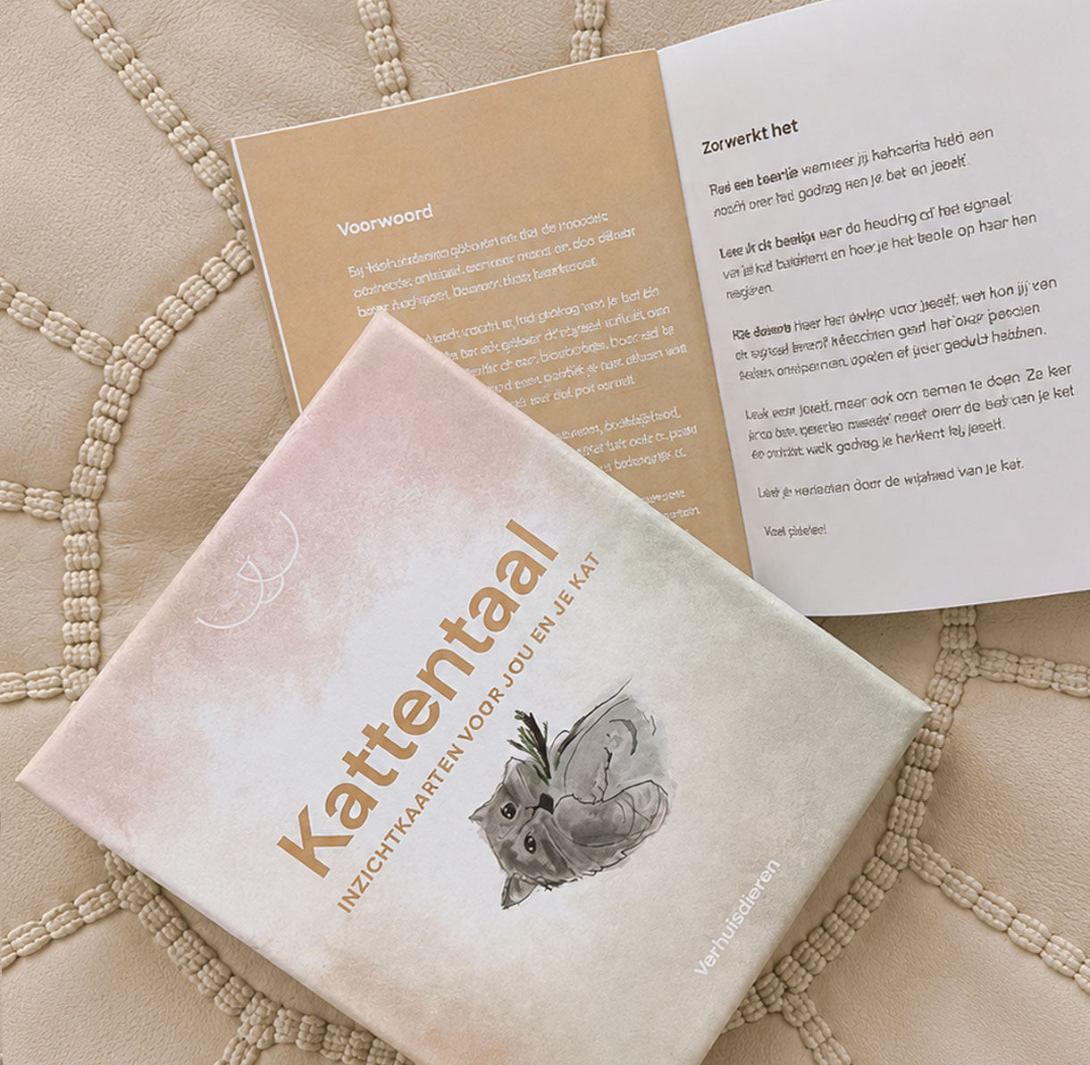 Inzichtkaarten - Kattentaal