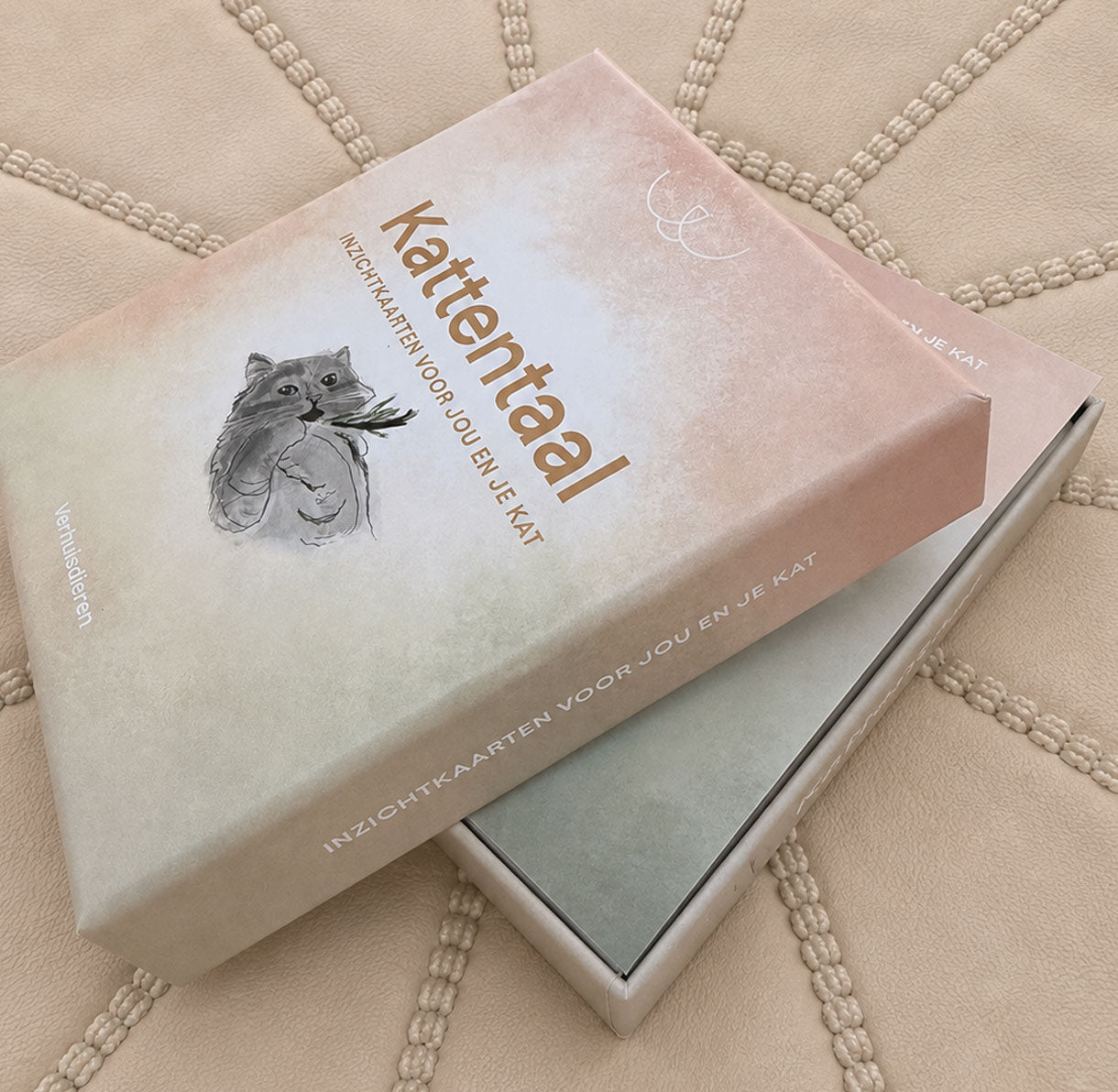 Inzichtkaarten - Kattentaal