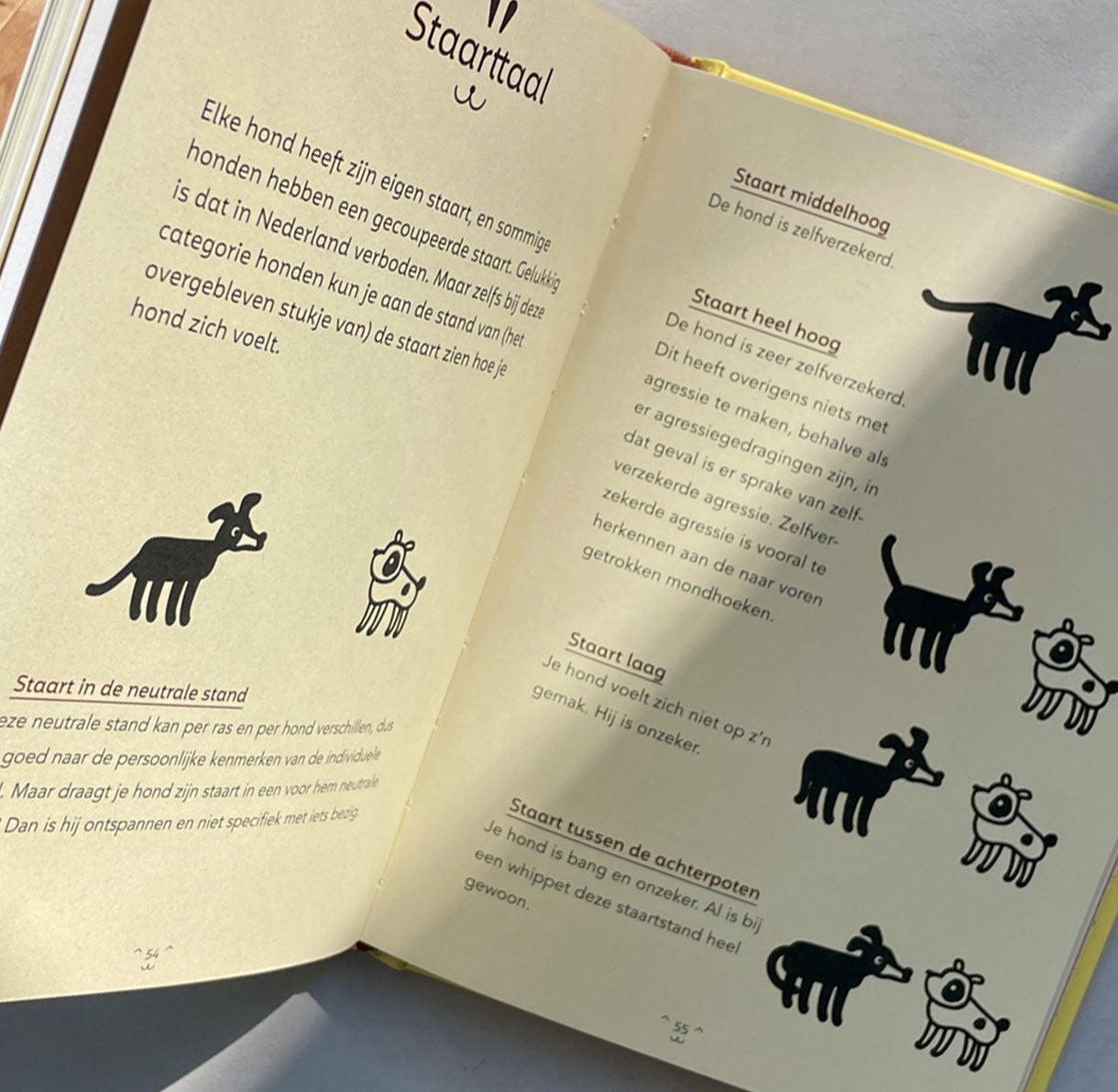 Boekje: Handleiding voor Hondenbazen