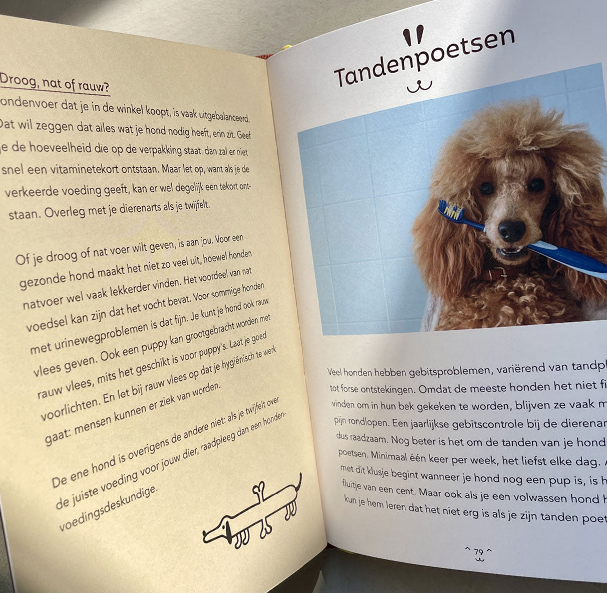 Boekje: Handleiding voor Hondenbazen