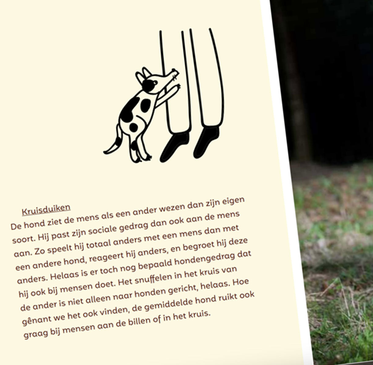 Boekje: Handleiding voor Hondenbazen