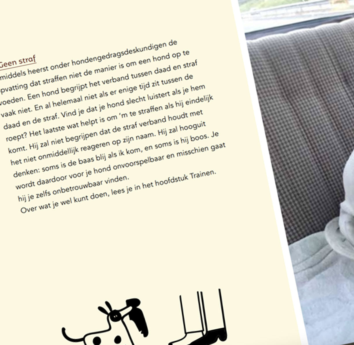 Boekje: Handleiding voor Hondenbazen