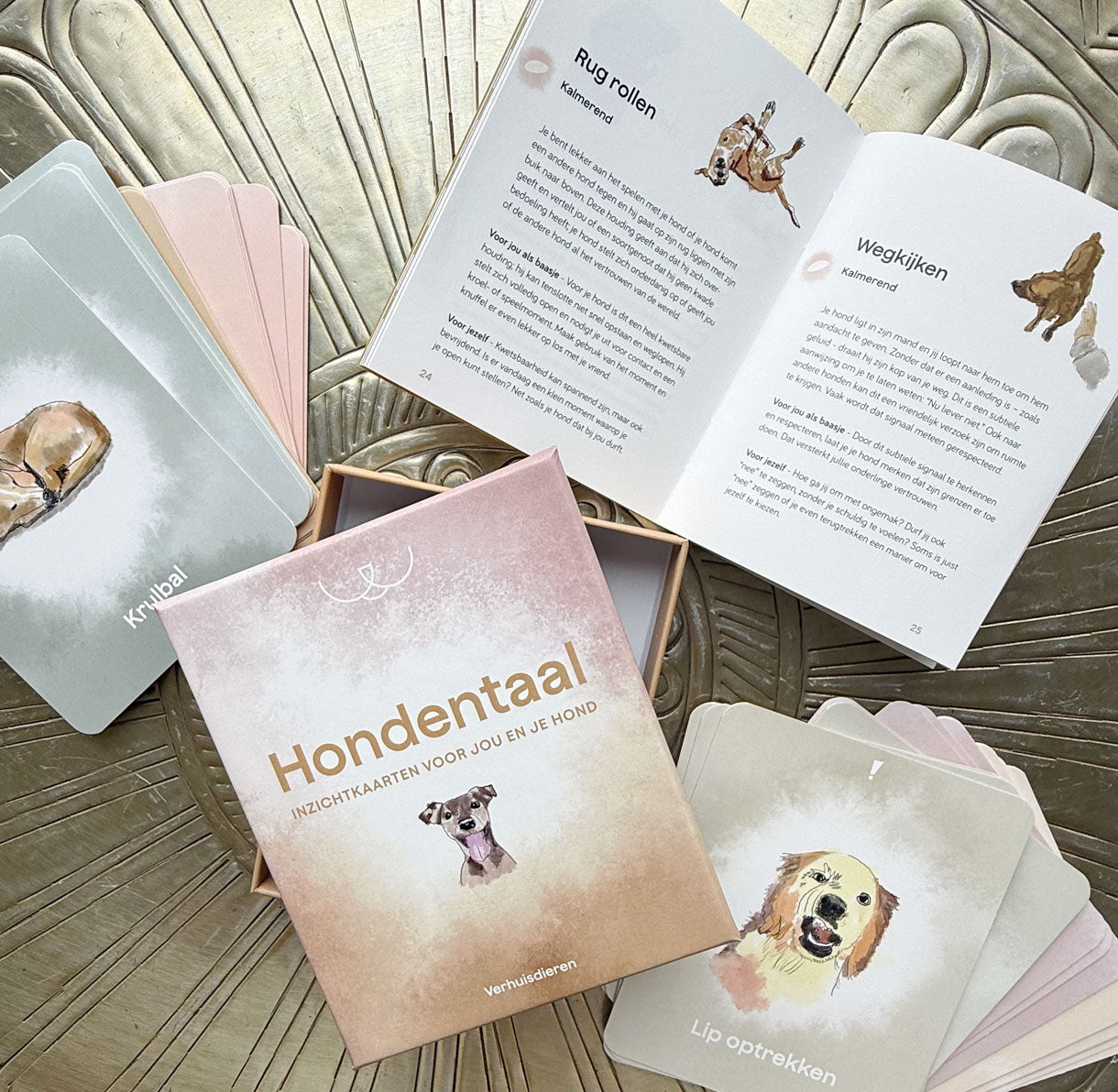 Inzichtkaarten - Hondentaal