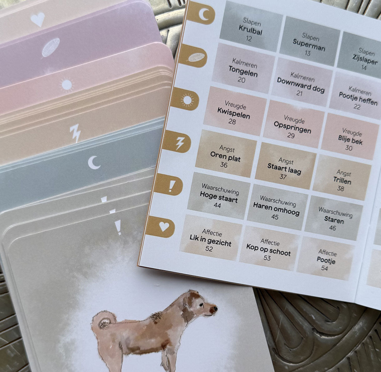 Inzichtkaarten - Hondentaal