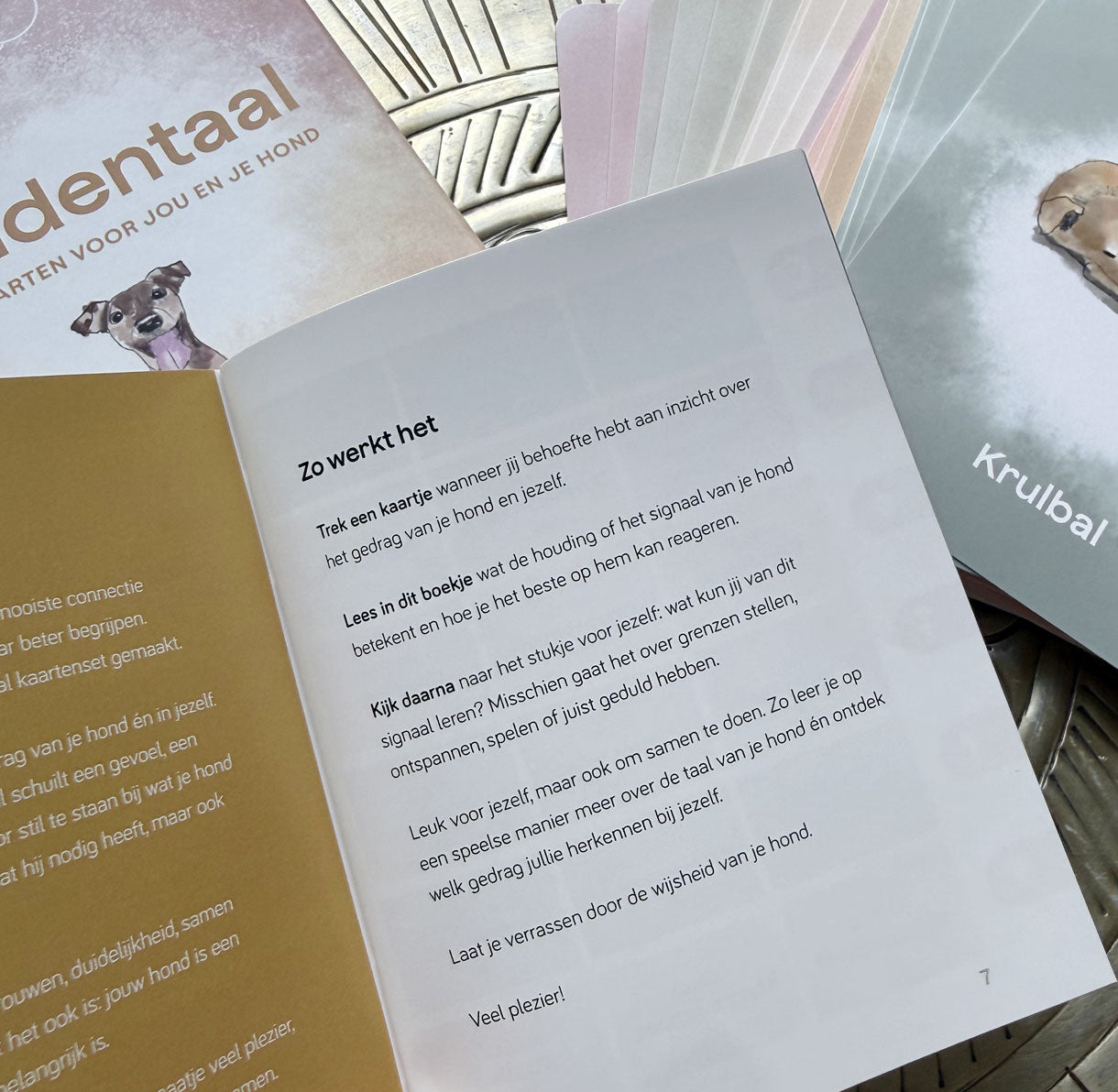 Inzichtkaarten - Hondentaal