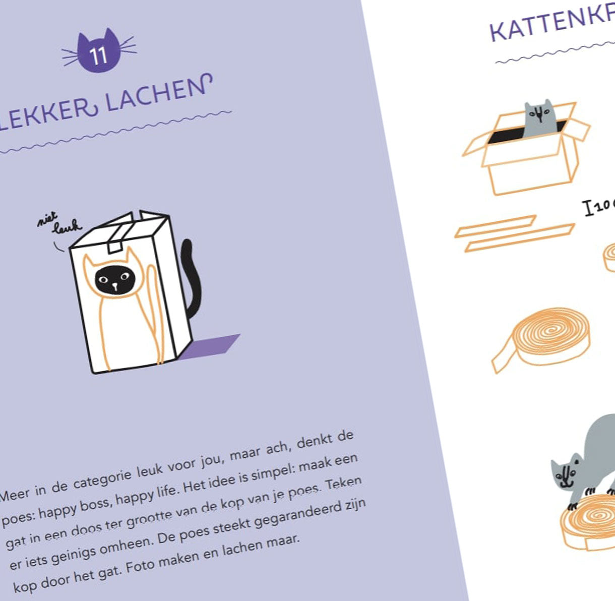 Boekje: Poezenspelletjes