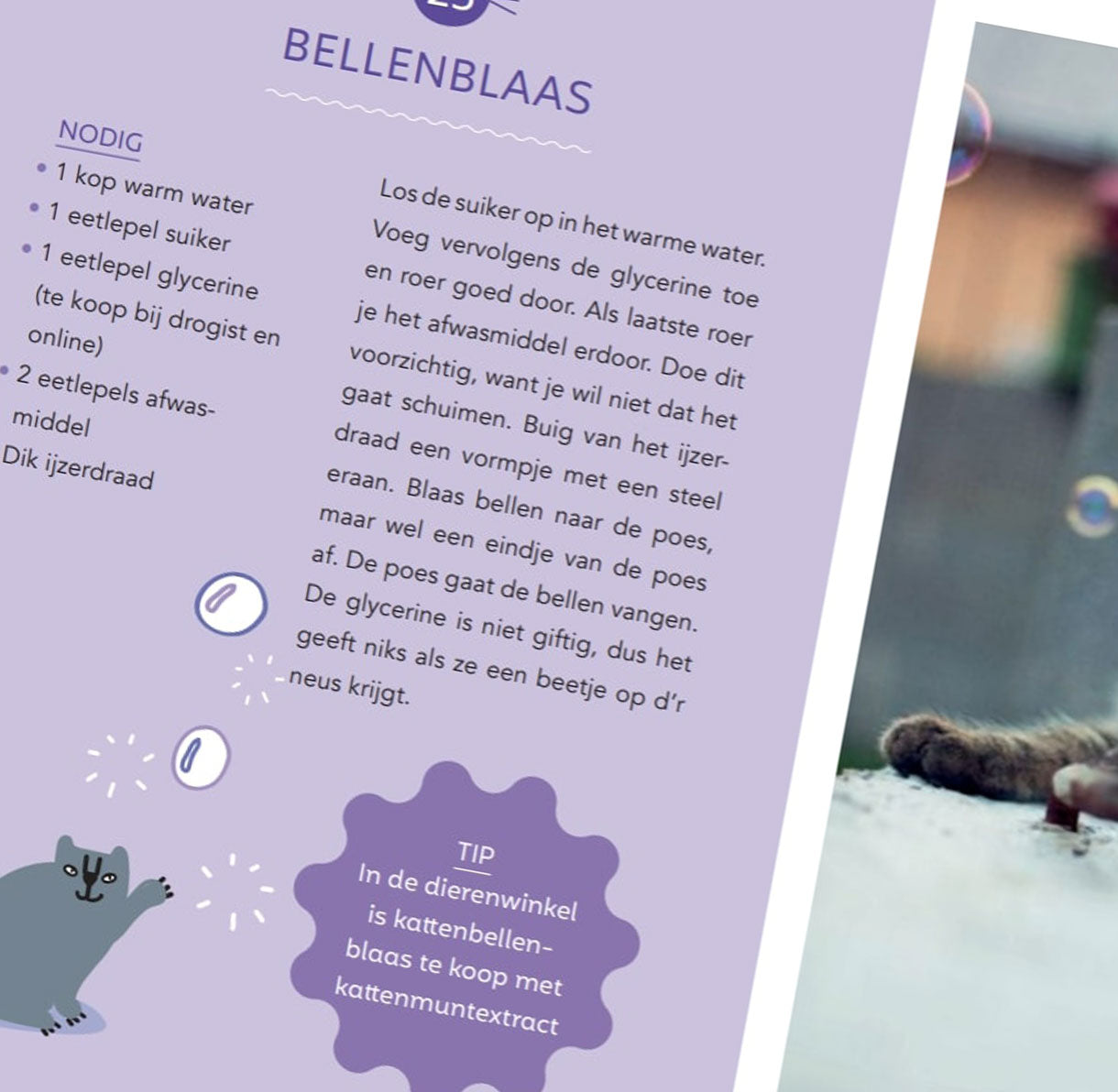 Boekje: Poezenspelletjes