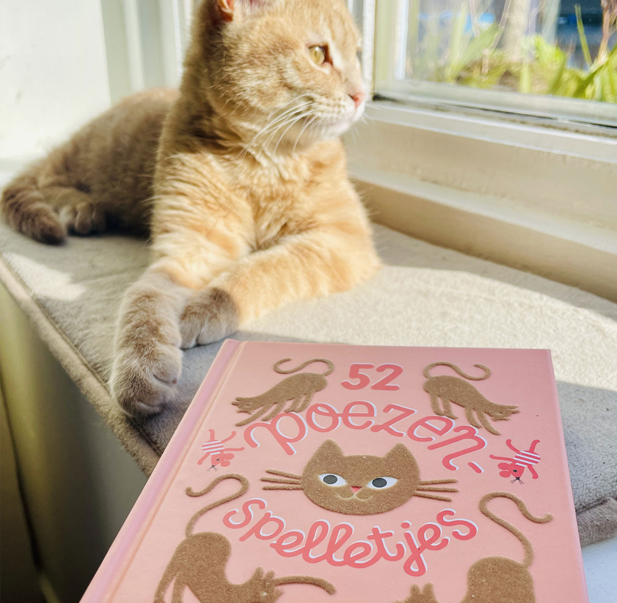Boekje: Poezenspelletjes